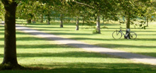 park