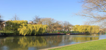river-cam
